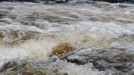 Primer-Plano-De-Salmón-Atlántico-Plateado-Saltando-Las-Cataratas-En-Cámara-Lenta-Con-Trípode-En-Escocia