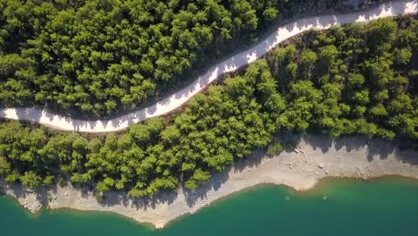 aerial forest green trees road lake
