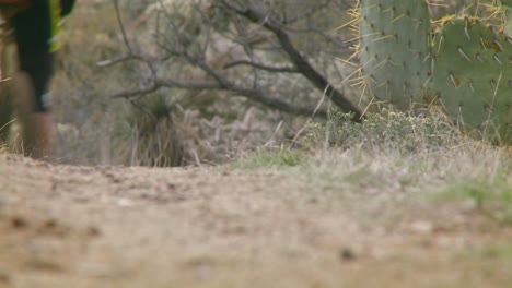 A-biker-rides-down-a-dirt-trail