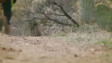 un ciclista recorre un sendero de tierra