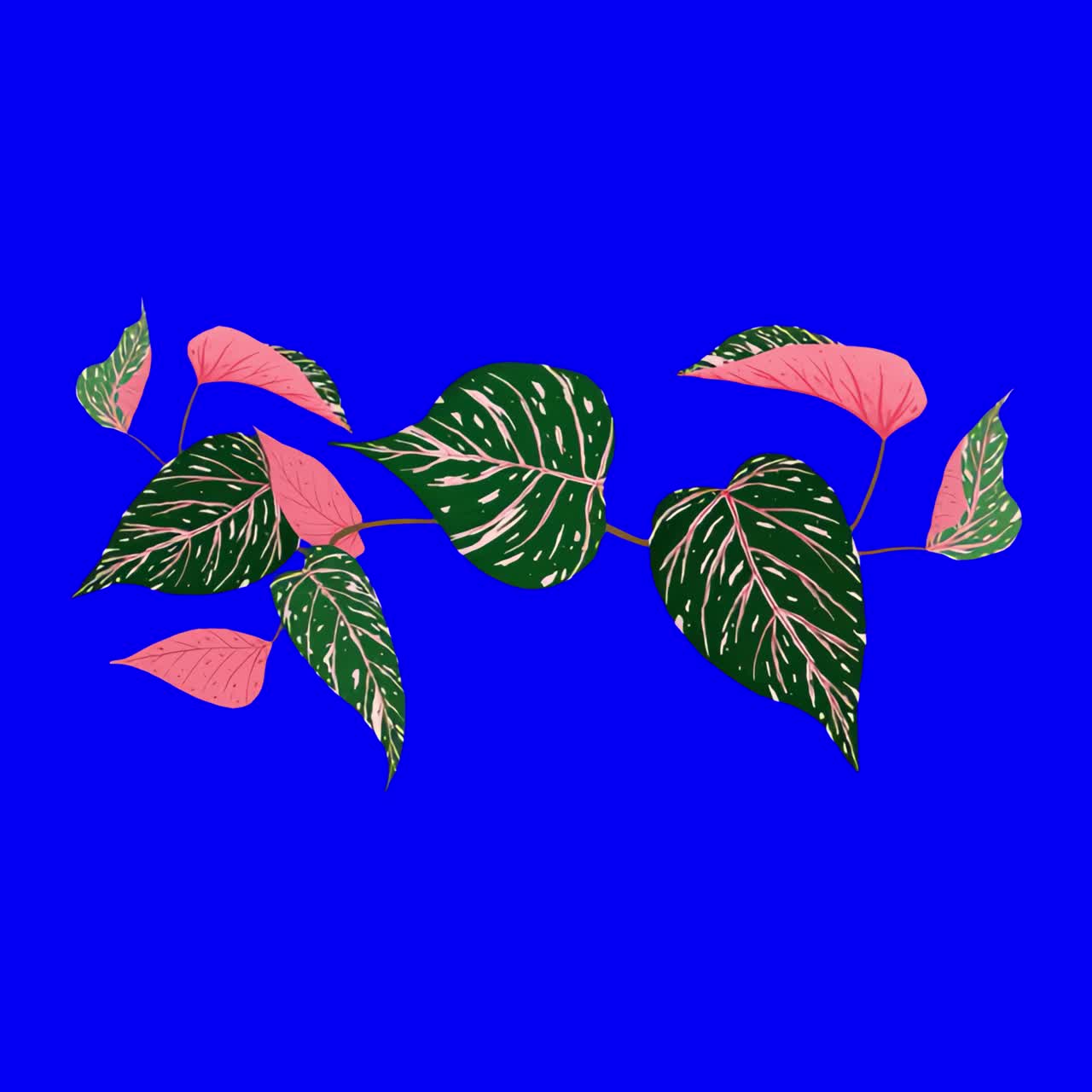 Vibrant leaves animation, transparent 4K video, green screen