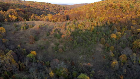 Herbst-In-Der-Waldluftaufnahme