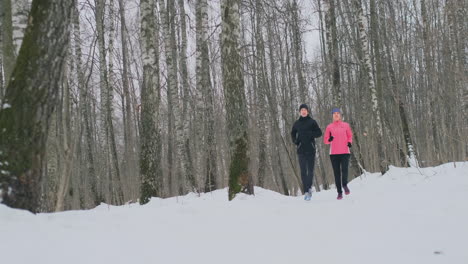 Mann-Und-Frau-Laufen-Im-Winter-In-Zeitlupe-Durch-Den-Park