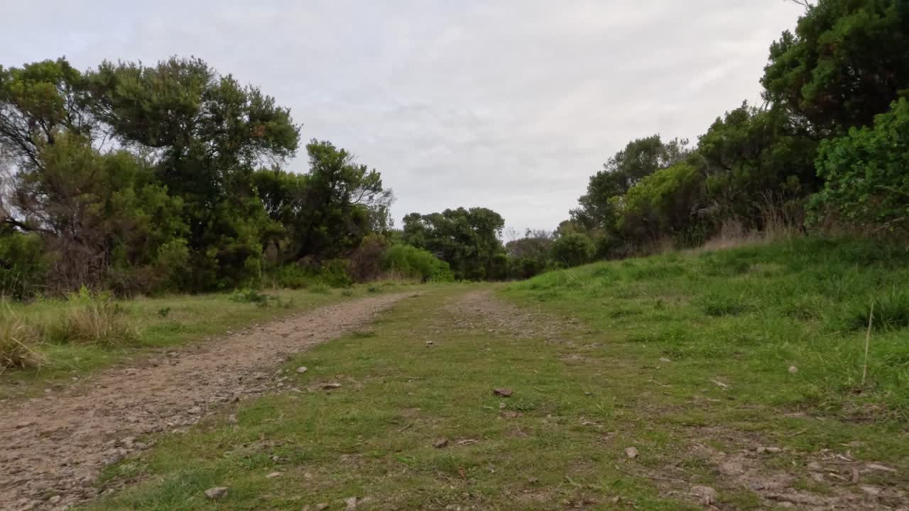 un paseo pacífico por un sendero de la naturaleza
