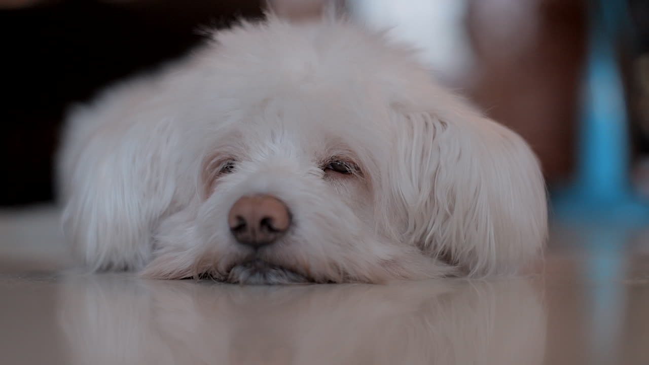 Her name is bebe. She being like that most of the time when my dad goes to work.