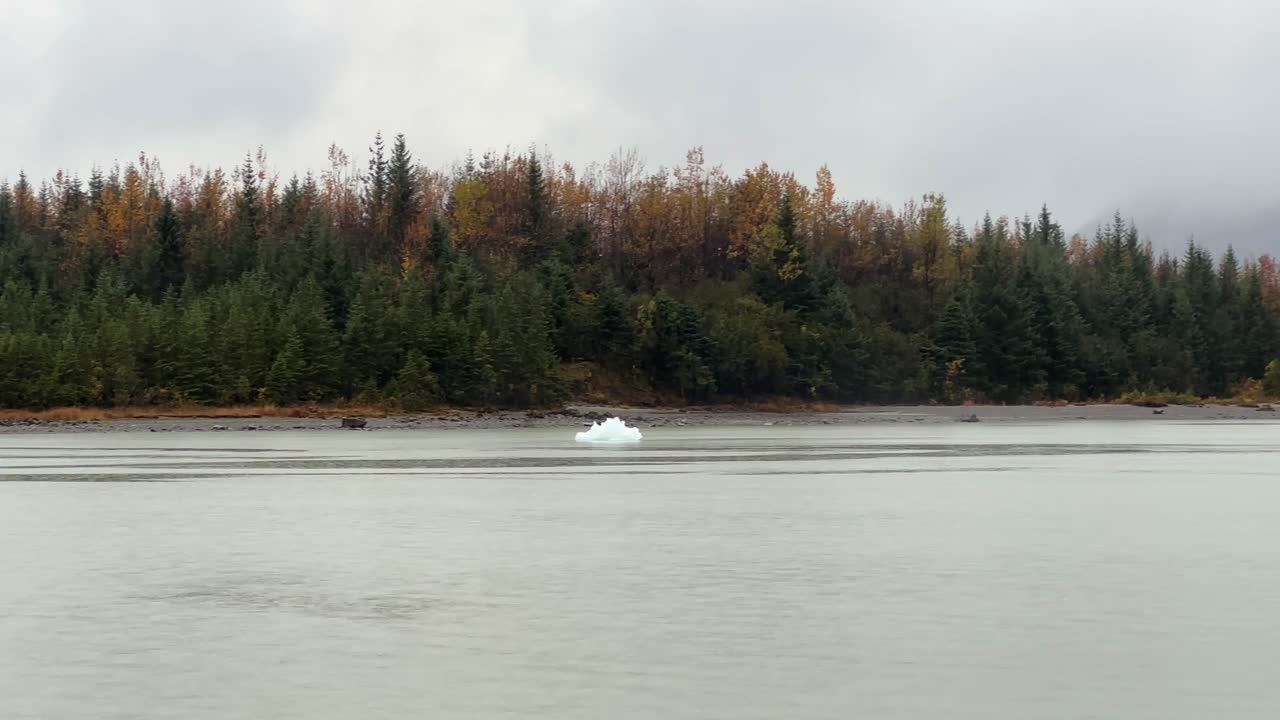 Handheld telephoto panning shot of icebergs on quiet Mendenhall Lake during autumn in Alaska's Tongass National Forest. 4K
