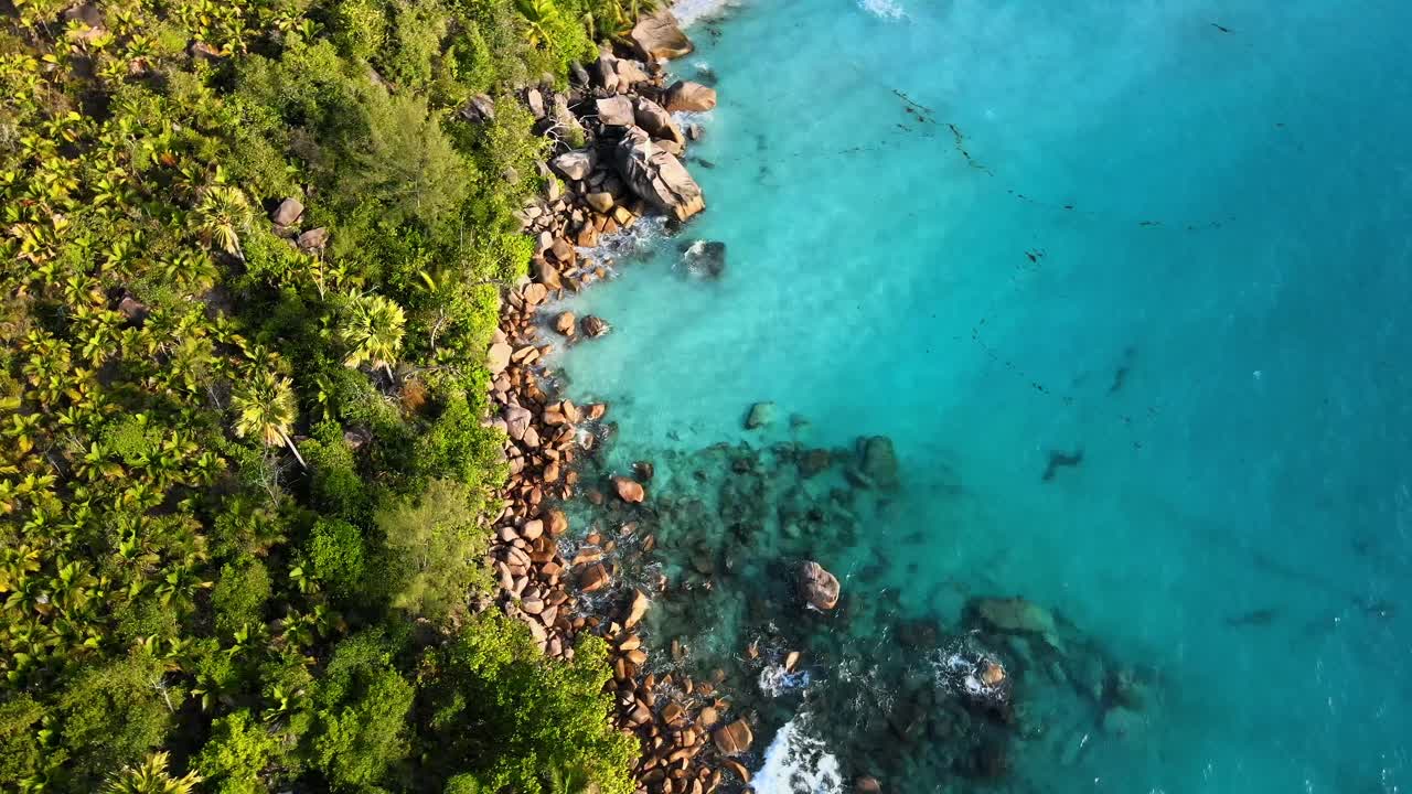 Pemandangan di Seychelles direkam dengan drone dari atas, menunjukkan laut, bebatuan, pohon palem.
