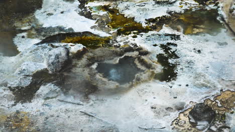 close up shot of bubbling hot acidic spring source in geothermal area during sun