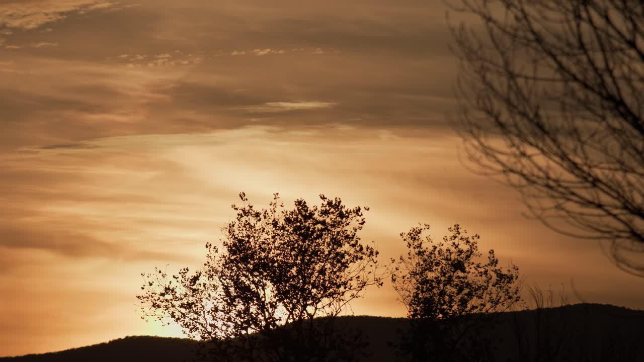 언덕과 나무에 대한 늦은 오후 일몰 하늘