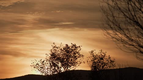 cielos de puesta de sol por la tarde contra colinas y árboles