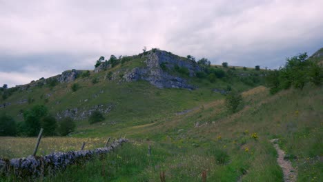 rural landscape, grass and trees