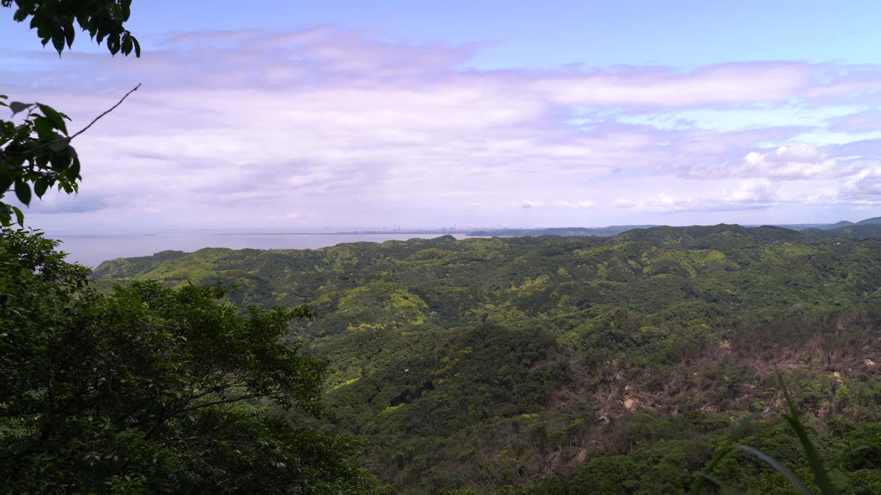 vista sobre el denso bosque verde en crecimiento en un día nublado - toma amplia