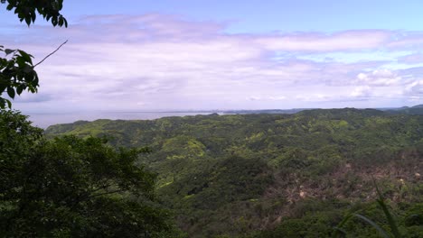 View-Over-Dense-Green-Growing-Forest-On-Cloudy-Day---Wide-Shot