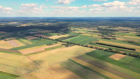 fotografía aérea de un campo agrícola