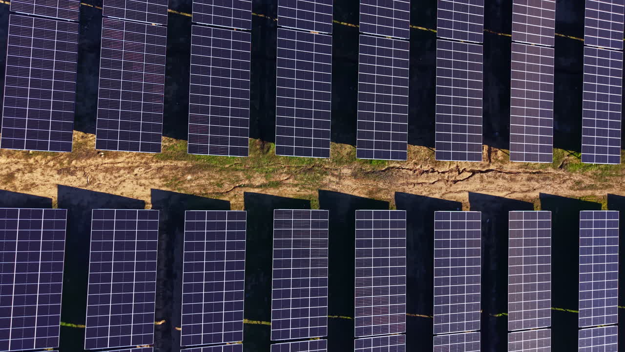 Pannelli solari coprono una vasta area con file disposte ordinatamente sul terreno in una giornata di sole, nell'ambito di un progetto di energia rinnovabile.