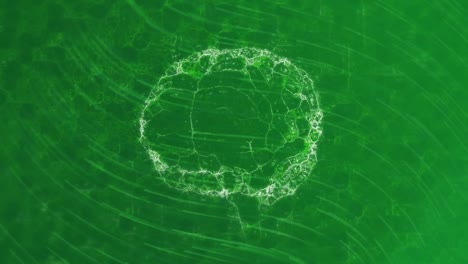 animation of human brain spinning on green background