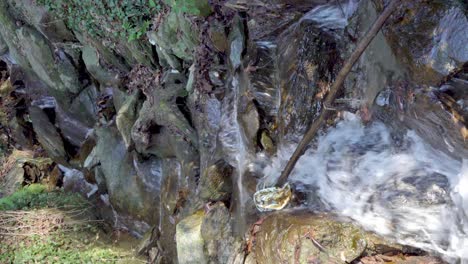 Some-litter-in-a-rocky-stream-bed