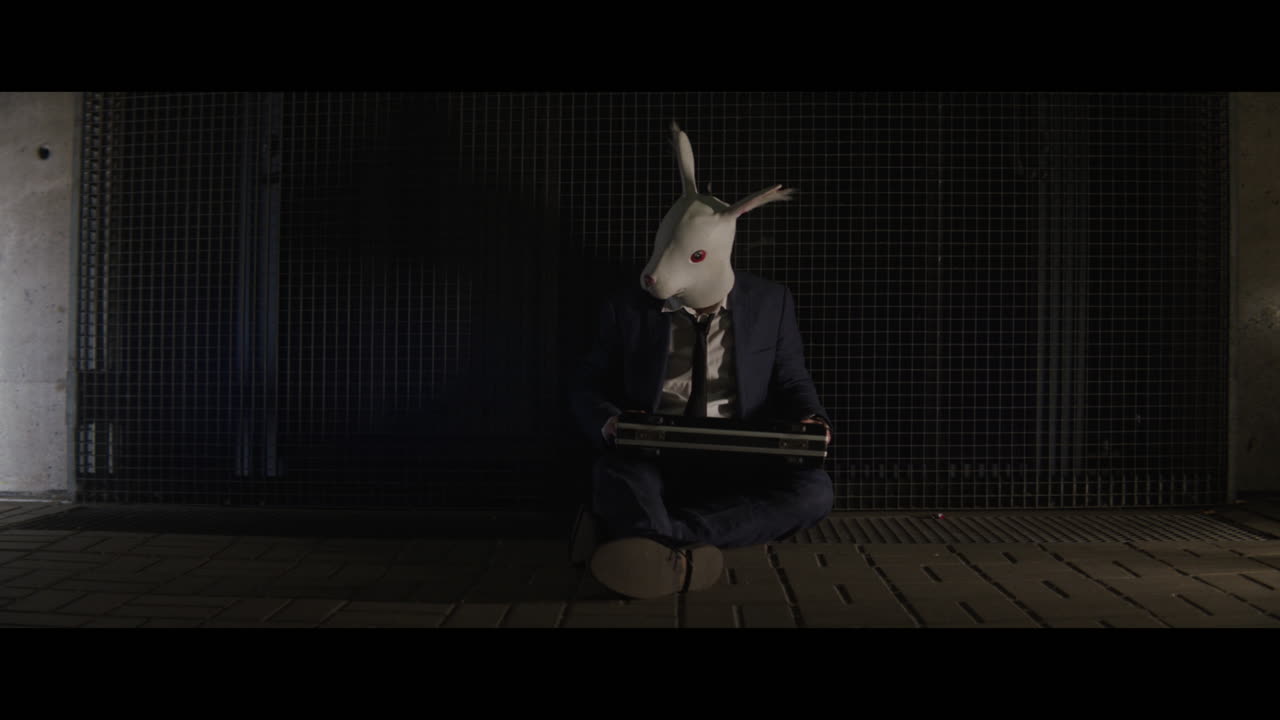 Man in a rabbit head mask