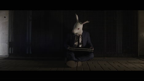 man in a rabbit head mask