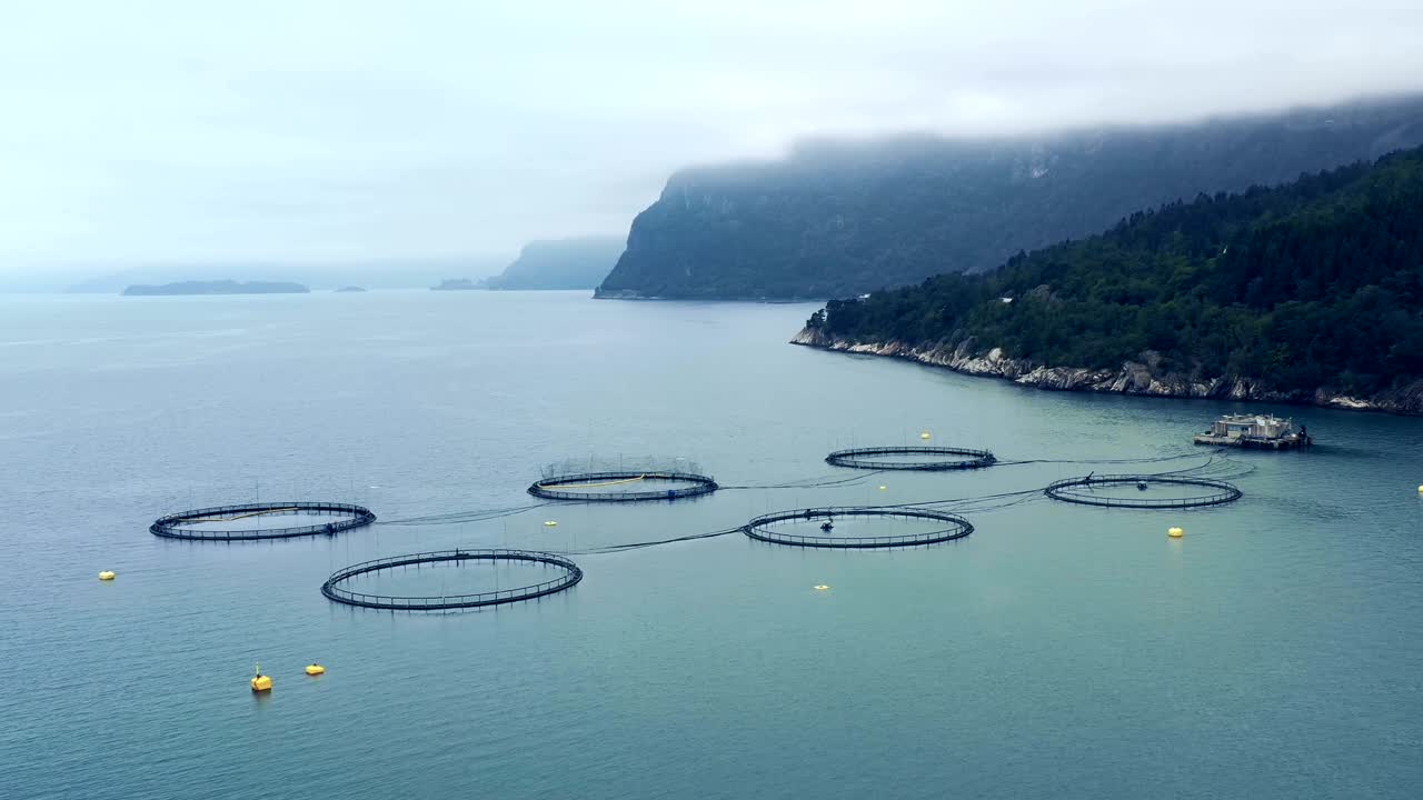 воздушные кадры рыболовства лосося на ферме в норвегии