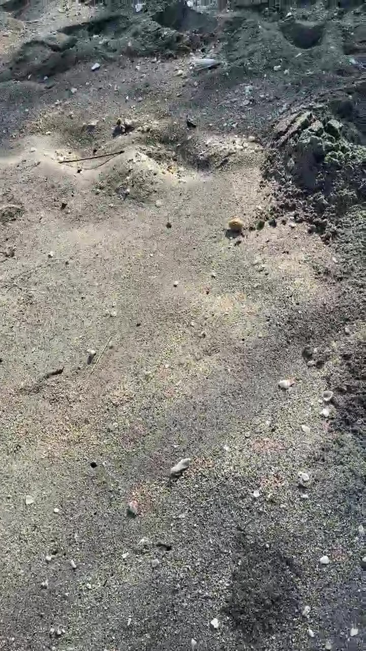 Fußabdrücke an einem Sandstrand