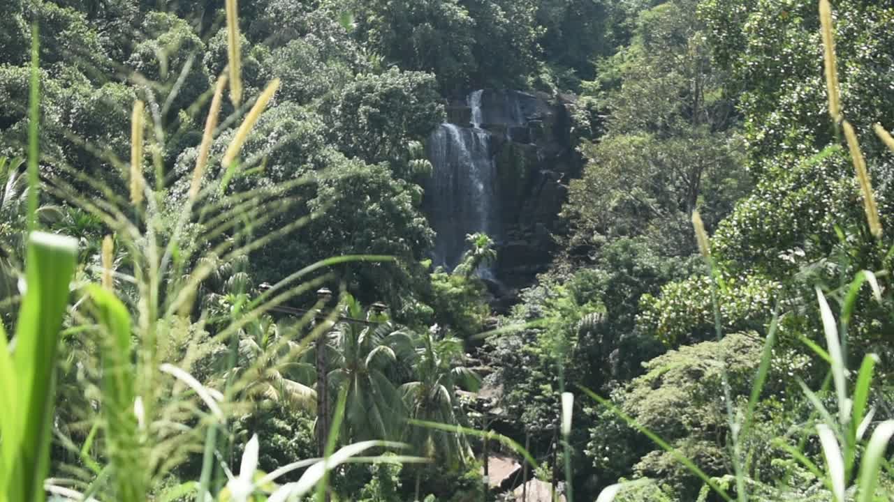hermosa cascada de sri lanka en la provincia de sabaragamuwa