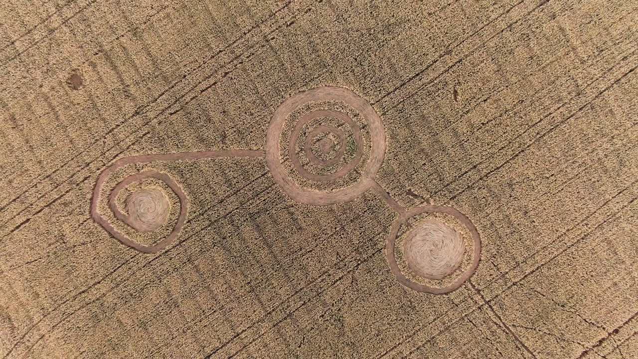 Crop Circles in a Wheat Field