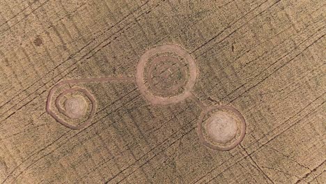 crop circles in a wheat field