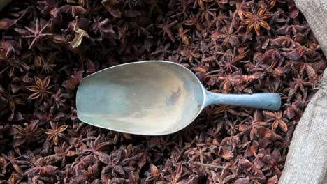 a sack full of aromatic illicium verum seeds with a metal serving scoop seen for sale at a local spice shop