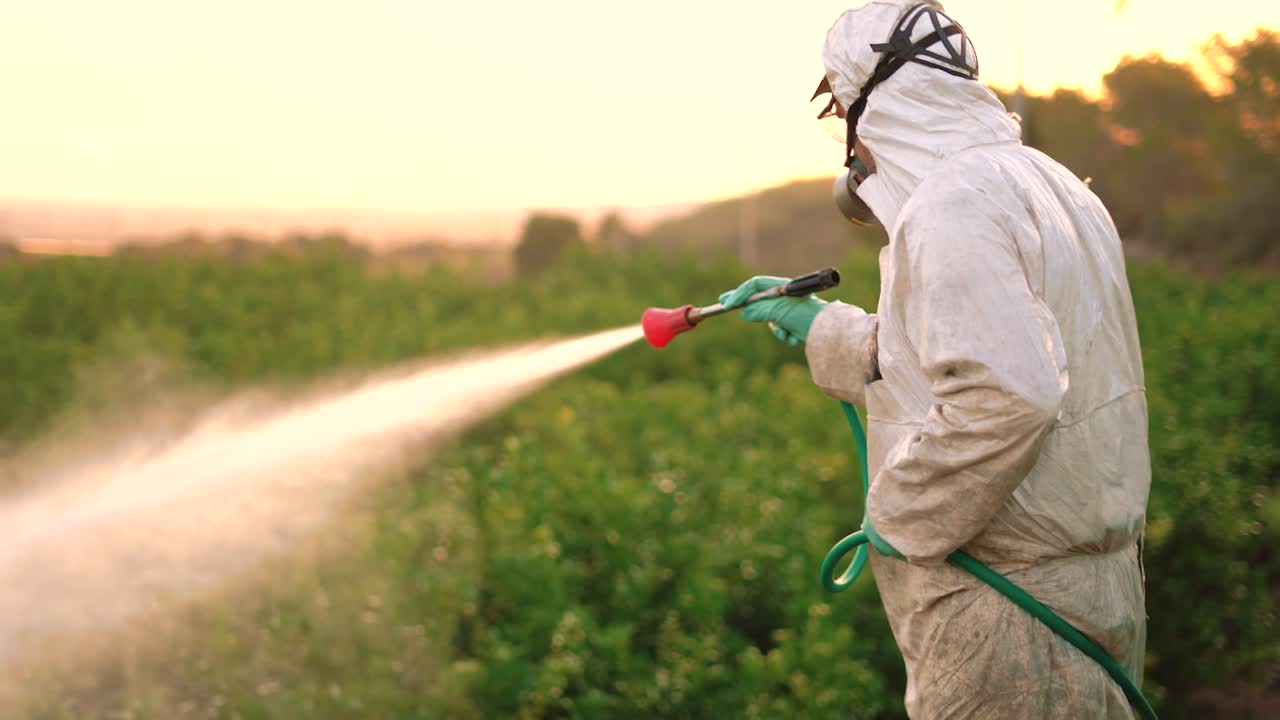 Spray ecological pesticide. Farmer fumigate in protective suit and mask lemon trees. Man spraying toxic pesticides, pesticide, insecticides