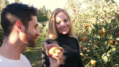 hombre comiendo manzana en el huerto de manzanas