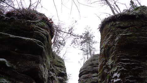 sandstone rocks with snow seen from below in prachov rocks, bohemian paradise, dolly in