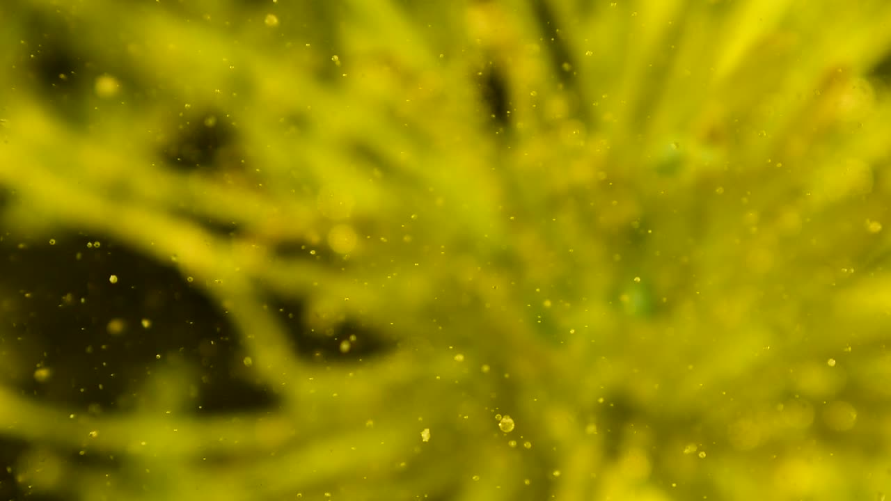 느린 거품과 파편 움직임이 있는 멋진 보케 외계 식물학 식물이 있는 소프트 포커스 60fps