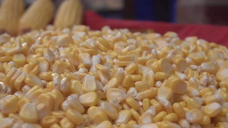 maize or corn has become a staple food in many parts of the world