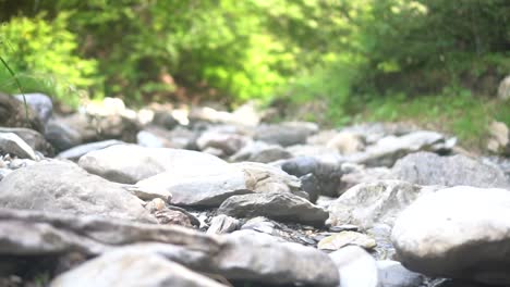 The-legs-of-a-young-person-hiking-from-left-to-right,-stepping-on-large-stones