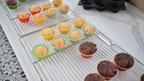 freshly baked chocolate and vanilla muffins organized by a baker at a bakery