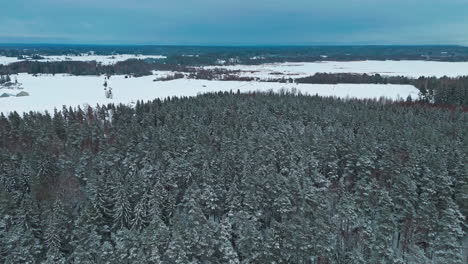 flying over a dusk forest in lapland wilderness woodlands