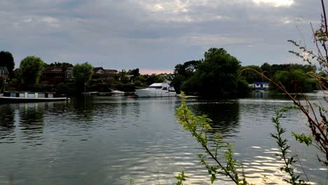 quiet scenary on the river thames in london right next to richmond bridge