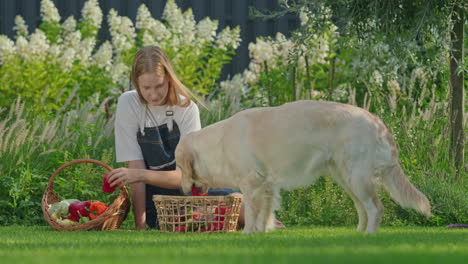 girl and dog in a garden with vegetables