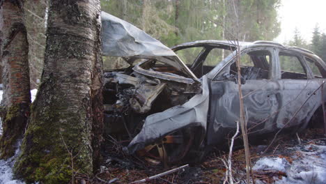 wreckage of crumpled and burnt out car on snowy roadside after tree collision
