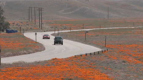 Road-through-california-poppies-in-bloom-entering-the-Antelope-Valley-Poppy-Preserve-California