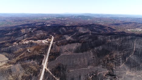 bosque dañado después del incendio vista aérea