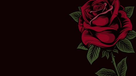 animation of single red rose moving, with copy space on black background