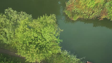 Ruderboot-Isoliert-über-Einem-Ruhigen-See,-Umgeben-Von-Grüner-Vegetation