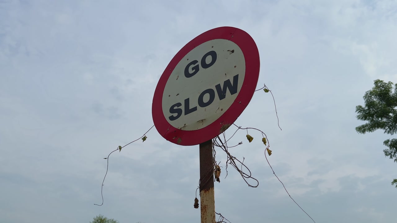 A circular “Go Slow” traffic sign partially covered with creeping vines, symbolizing road safety, nature reclaiming, and the passage of time.