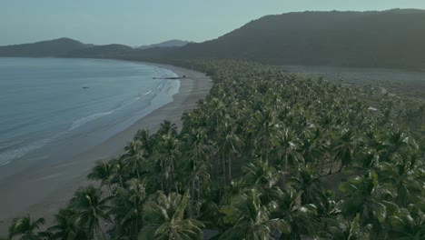 drone pan of sand beach, ocean waves and seaside forest in philippines