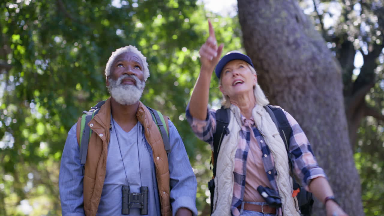 Senior couple enjoying a hike in the forest