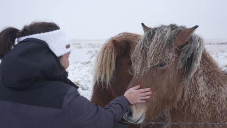 Mujer-Tocando-Caballos-Islandeses-En-Islandia-1