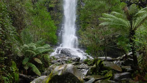 The-beautiful-Erskine-Falls-flowing-through-the-forest-of-Australia---wide-shot