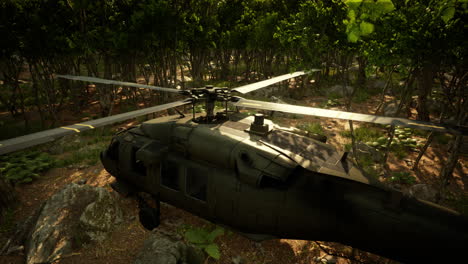 Military-helicopter-in-deep-jungle